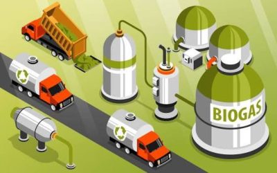 Biocombustibles y e-fuels: ¿una alternativa real a la electrificación?